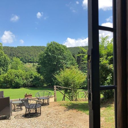 Villa Viola Lucca Bagian luar foto