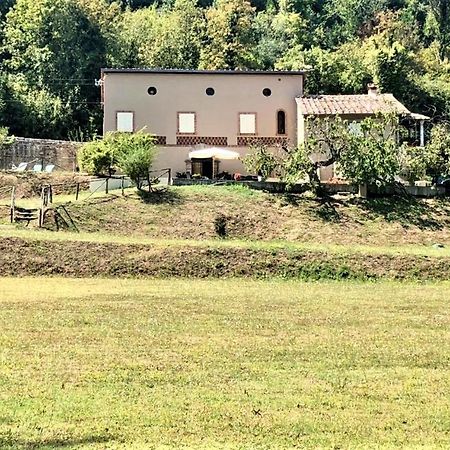 Villa Viola Lucca Bagian luar foto