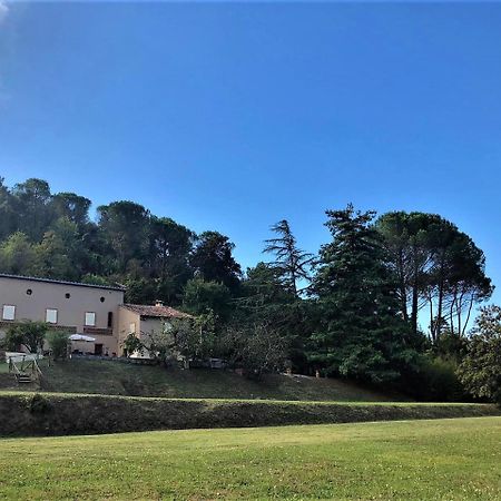 Villa Viola Lucca Bagian luar foto
